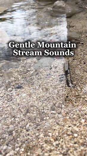 Gentle Stream Sounds | A Quiet Moment in Nature #naturesounds #nature #forestwhispers #naturesvoice
