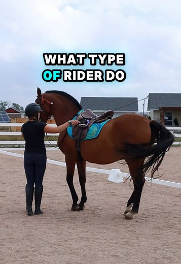 Every rider reaches a moment where they realize: you have a choice. To follow what you've always been taught… or to ride in a way that lets your horse breathe, think, and be heard. Every moment in the saddle is a choice. Make it one you’re proud of. If you want to learn more about how you can ditch the modern training system and let your horse exhale, check out the link in our bio. #classicalhorsemanship #horsetraining #naturalhorsemanship #dressagetraining #spiritstallionofthecimarron