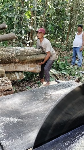 12K views · 92 reactions | Sawing wood with a circular saw | Salwa vlog | Facebook