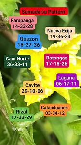 189K views · 521 reactions | Sumada sa Pattern 04-11-2025 Selected areas only #guideandtipsonlynotsurewin #KAWETHINGSTV #sumadapattern | KaWethings TV | Facebook