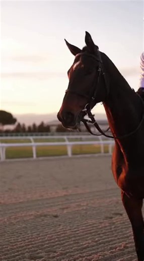 Vidéos de Analyze turf (@analyze.turf) avec son original - Analyze turf