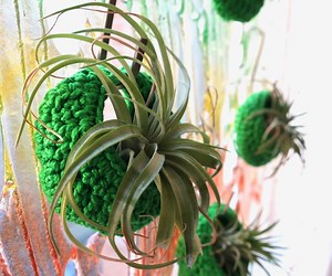 How to Crochet Air Plant Pods
