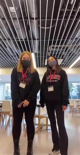 Meet the TUJ Temple Owls in Japan!