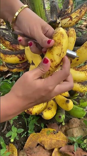 Unboking Pisang Raja #pisangraja