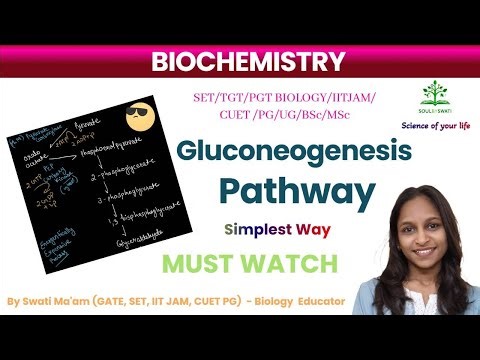 Gluconeogenesis Pathway 🤔| Biochemistry Metabolism Short Notes In Hindi | CUET UG/PG NET SET TGT/PGT