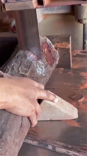 cutting a large brown wood log precisely using a metal band saw machine tool in the workshop area