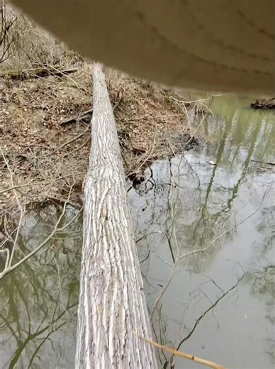 Things we’ll do for a good shoot. #duckhunting