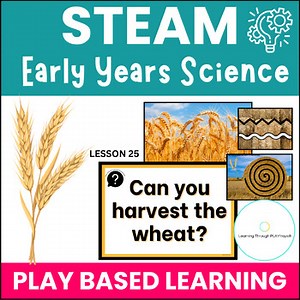 Wheat Harvest Science Activity | Farm & Food STEM for Preschool | Fine Motor