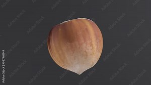 Exploring the unique structure and texture of a hazelnut in detail, highlighting its natural beauty