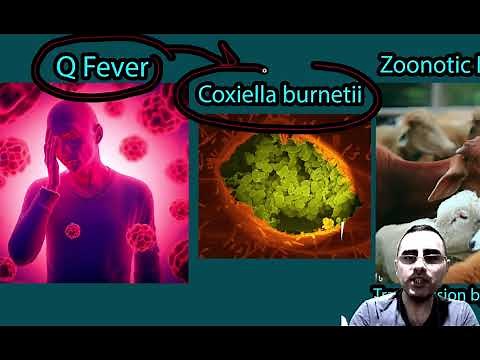 Q Fever: Symptoms, Causes and Treatment, How Serious is Q Fever?