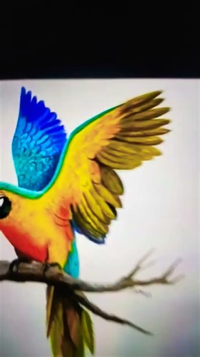 parrot drawing proffesional