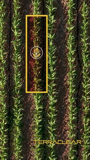 Why GPS Mapping is the Future of Organic Weed Control
