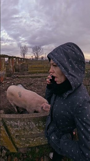 Porcu #comedie #amuzant #funny