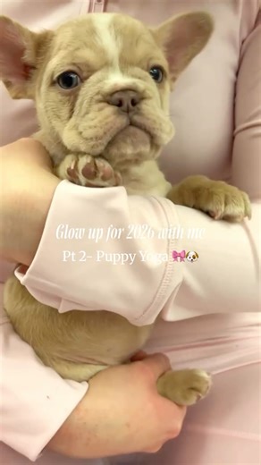 Fallon♡ Pink Lover on Instagram: "Glow up with me for 2026, Pt 2-puppy yoga 🎀🐶 📍280 Fort Street, Winnipeg This puppy yoga session included a 45 min yoga session and a 30min play time with the puppy’s! 🐾🎀 The staff were great and they took care of the dogs and made sure no accidents happened, they instructed us on how to carry the little puppies (some were just born🥹) and the yoga session was fantastic and so relaxing, perfect way to start off the new year! Would you do puppy yoga? 🎀 #winn