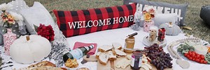 Picnic in the Park - Homepage