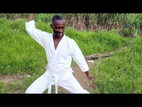 Karate, martial arts, Teakwondo, Kunfu, training, MMA, Judo, Kicking, Punching, Sports, karate nerd