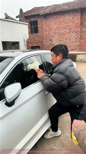 Funny Car Window Challenge: Sticking This "Plastic Net" onthWindo, Everyone Cracked UpWh Tearing It