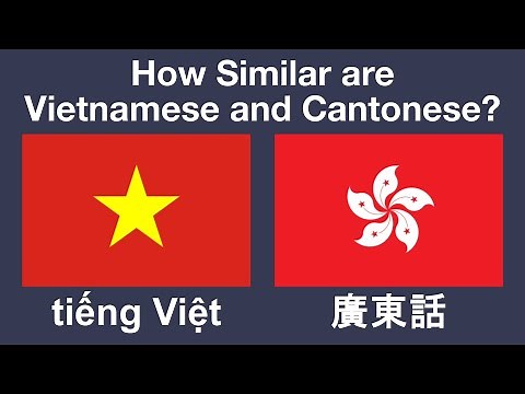 How Similar are Vietnamese and Cantonese?