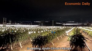 Breaking economic news with reports on global stock markets, businesses and more. Like us. | Economic Daily, China