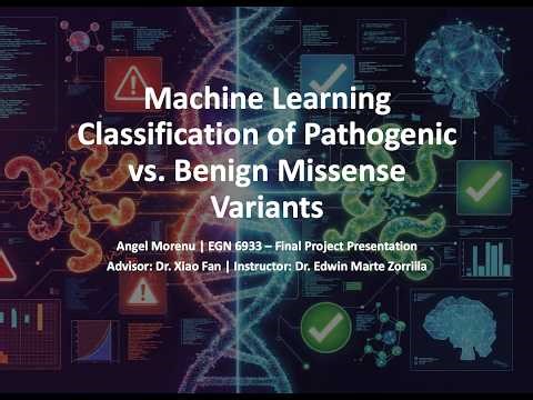 EGN6933 Final Project Presentation