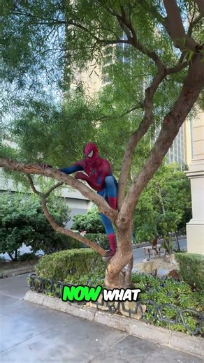 Spider-Man's Tree Climbing Escape #shorts