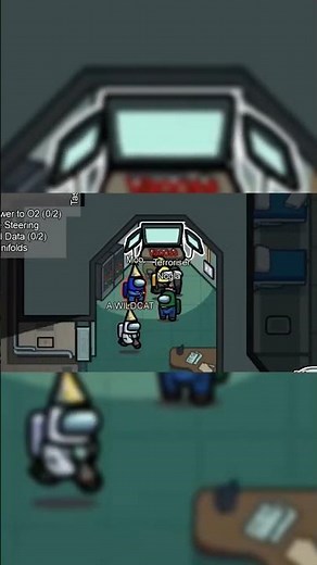 Vanoss Kills Wildcat in front of everyone (VanossGaming Funny Moments) #funny #gaming #amongus