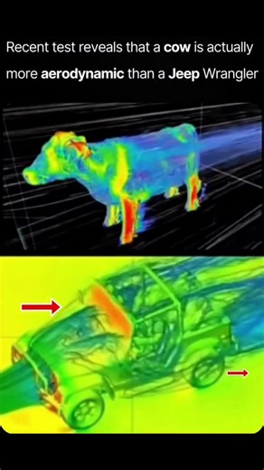 🐮 It's counter-intuitive, but the rounded, naturally contoured body of a cow actually generates less turbulent airflow and a lower drag coefficient than the flat-faced, boxy design of a classic Jeep Wrangler. While neither object is a marvel of aerodynamic engineering, the Jeep's vertical windshield and sharp corners cause massive air separation, creating a large, energy-wasting wake that the cow's more streamlined shape manages to avoid. So, when comparing how efficiently they cleave through t