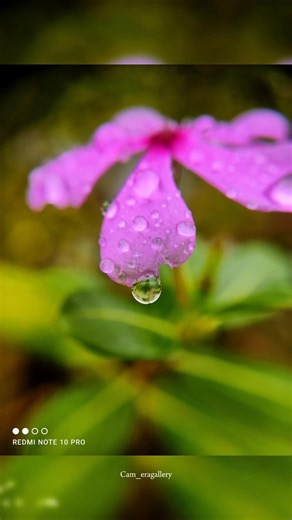 Try this adcom macro lens water drop photography #viral #instantcamera #smartphoneastrophotography