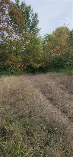 Beastly Chevy Trucks in Their Natural Habitat