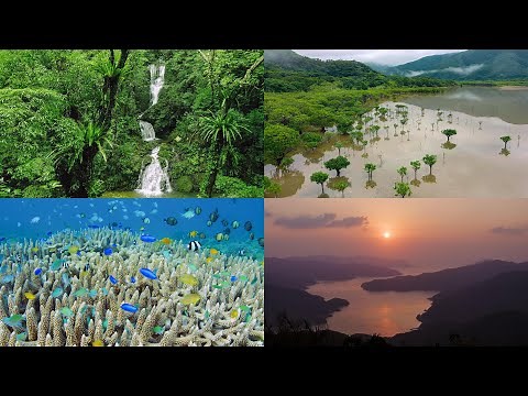 [4K] 祝！世界遺産登録 奄美大島の自然絶景 Spectacular natural scenery in World Natural Heritage Amami Oshima Island