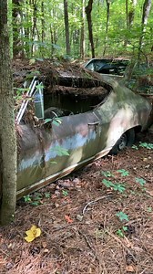 85K views · 1.8K reactions | A 32 acre piece of Nature’s Art Omni World  Wide Old Car City USA  Museum City Cartersville Georgia  | Old Car City USA | Facebook