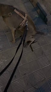 Most dogs aren’t stubborn — they’re just confused. Disposable pee pads slide, leak, and move around, so dogs never learn one clear place to go. PawPad™ fixes the system with a stable, scent-guided potty spot dogs actually understand. And this week only, it’s 30% OFF. | PawPad