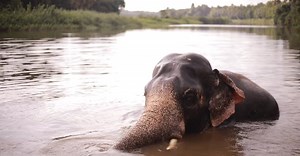 Video by Salim Mediacity on Pexels