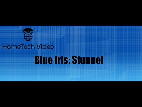 Blue Iris - Stunnel