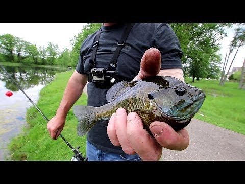Bobber Fishing With A Baitcaster!