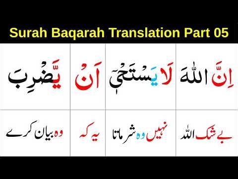 Surah Baqarah Urdu translation / Part 5 / verse 26-29 / Urdu tafseer / learn Quran easily at home