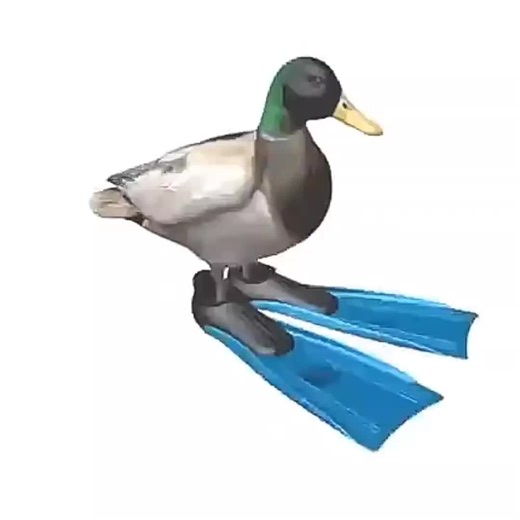 duck spinning meme