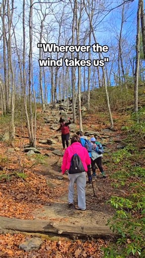 Sometimes the wind takes us to the top of Peaked Mountain in Monson. ⛰️ #TheTrustees #PeakedMountain #MonsonMA #Hiking #Outdoors | The Trustees