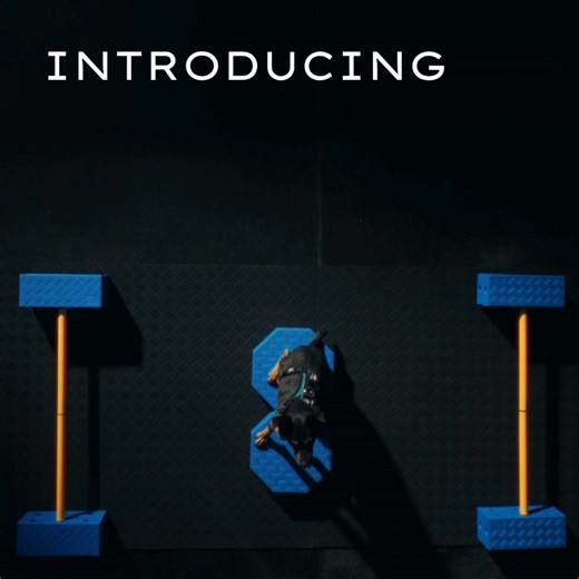 Upgrade your dog’s training gear, try modular FitKinect™! Now 30% off for a limited time! | FitPaws | Facebook