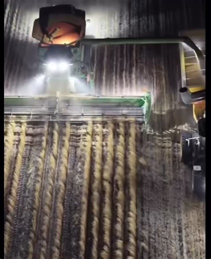 Nearing the finish line for harvest 2025 🌾 #grain #harvest #wintercropping | Australian Food & Fibre - AFF