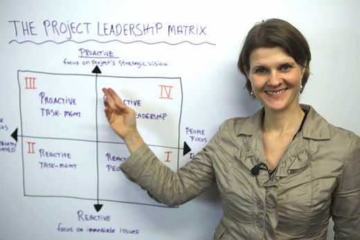 What Kind of Leader Are You ? Use the Project Leadership Matrix to Find Out