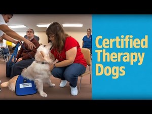 Key Training Center Visits Caring K9s Therapy Dog Class (2023)
