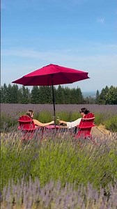 Lavender Farms in Tualatin Valley