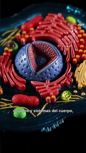 ¿Qué son las células somáticas y por qué son tan importantes?