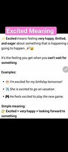 Excited Meaning in English