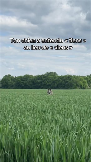 #humour #pourtoii #foryoupage❤️❤️