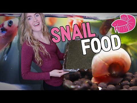Making Food for My SNAILS Like a Totally Normal Person - DIY Snail Food!
