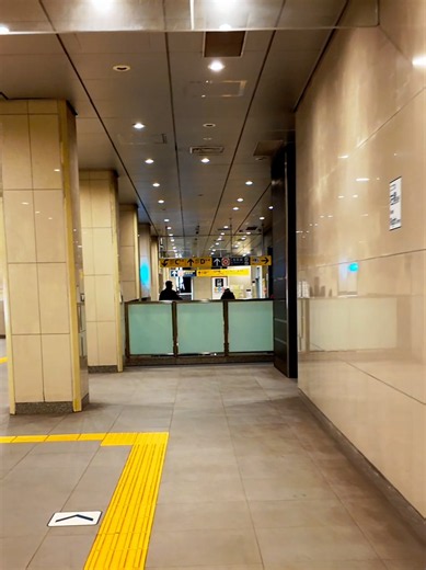 🇯🇵 Inside Tokyo Station. 東京駅構内. #japan #japantrip #traveltok #scenicviews #Dji