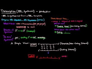 Transcription (Part 1 of 6) - Introduction