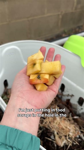 I’m just putting food scraps in a hole in my garden… and it might be genius 🪱🌱#composters #worms